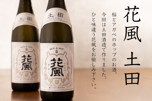 稲とアガベ　花風　土田