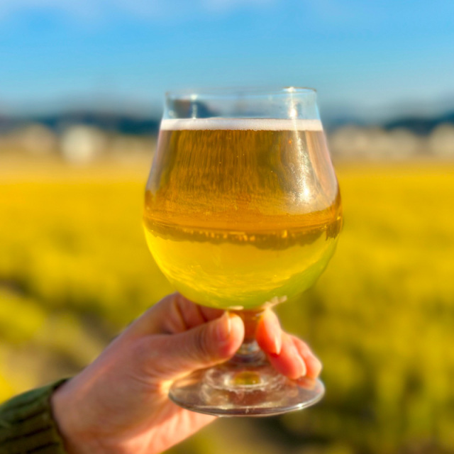 ひみつビール