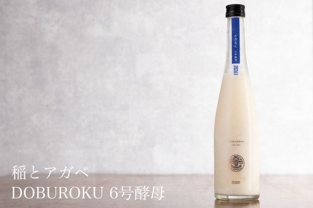 稲とアガベ　DOBUROKU