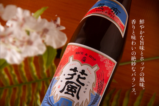 稲とアガベ 秋田県