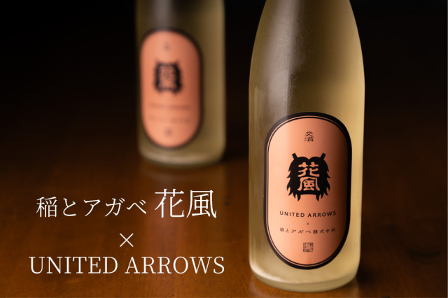 稲とアガベ　花風　ユナイテッドアローズ