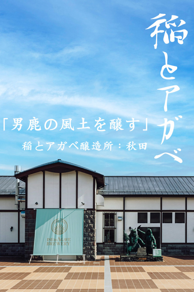 稲とアガベ