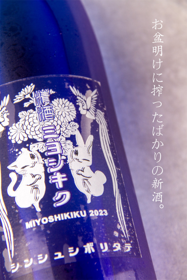 三芳菊