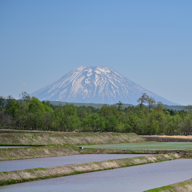 森ノ醸造所　日本酒　北海道