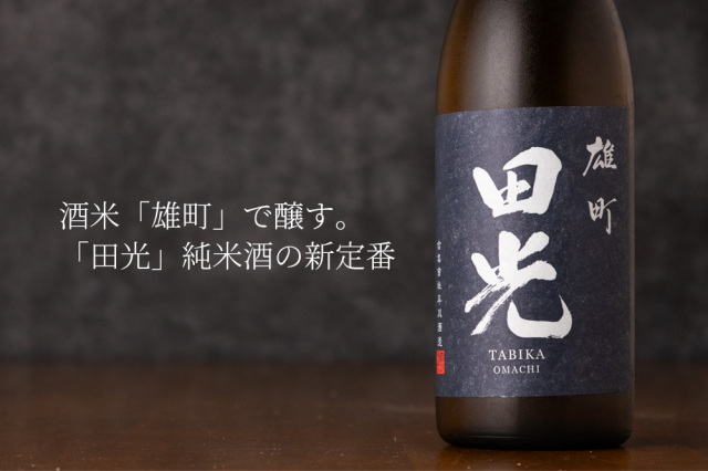 田光　早川酒造　日本酒