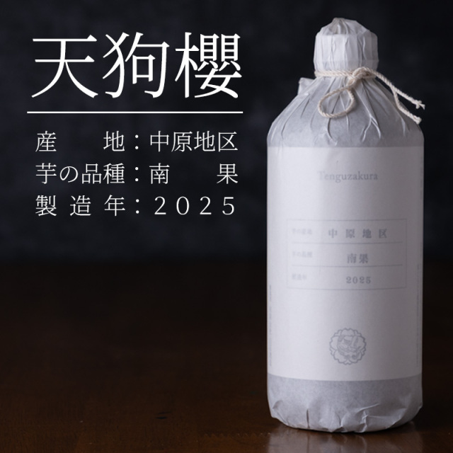 天狗櫻　芋焼酎　白石酒造　鹿児島