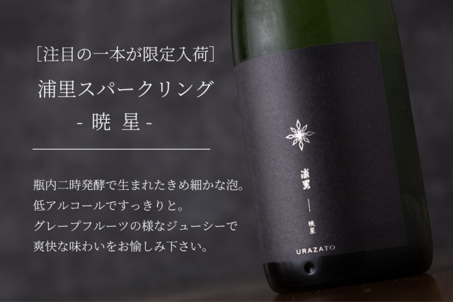 浦里　暁星　スパークリング　日本酒