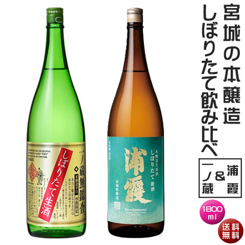 2025ichi_ura_honjyo1800set