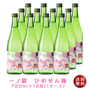 一ノ蔵　ひめぜん梅720ml1ケース