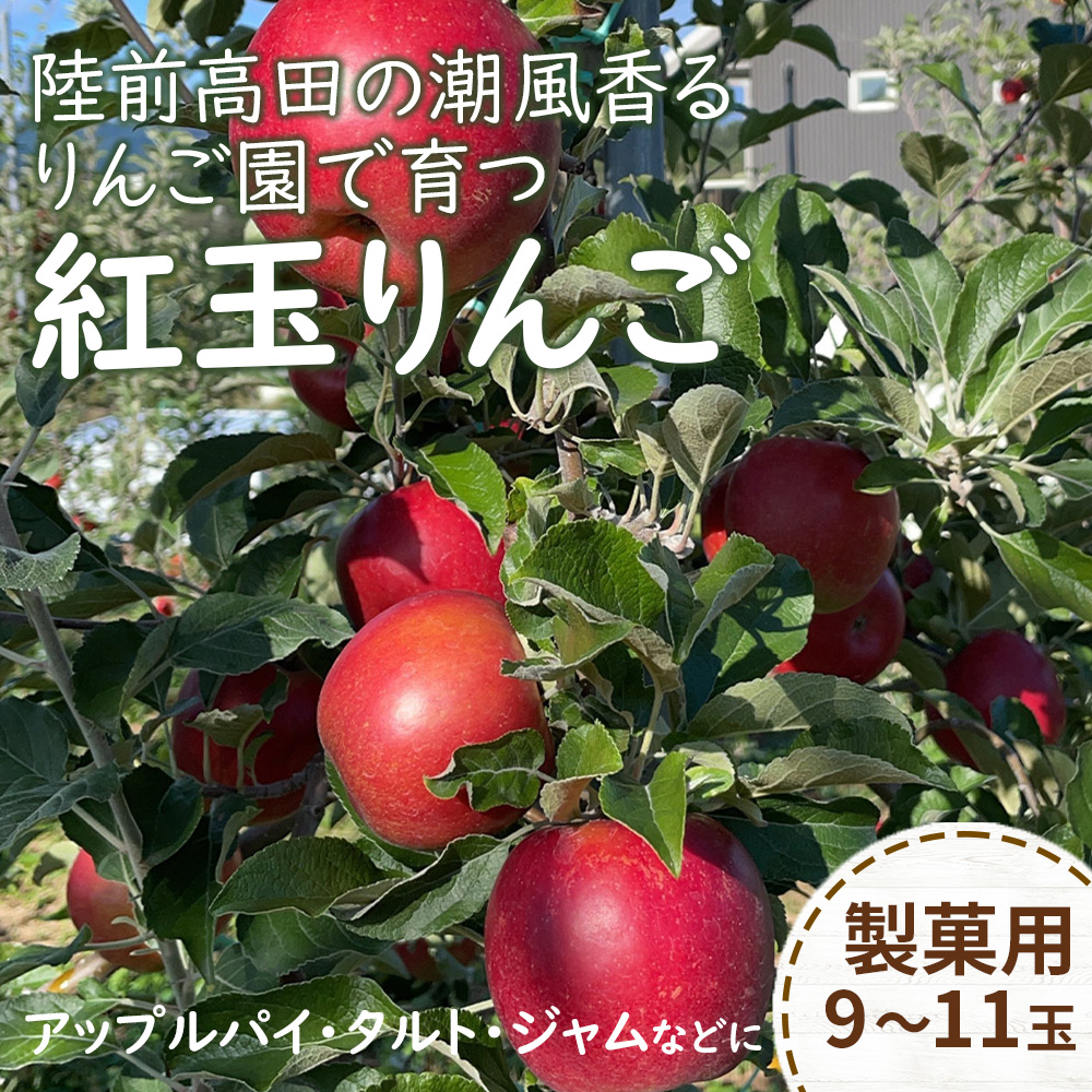 紅玉 りんご