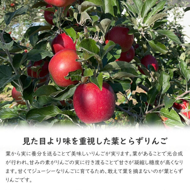 果汁100％ 紅玉 熟成 りんごジュース 1000ml×2本入 岩手県産