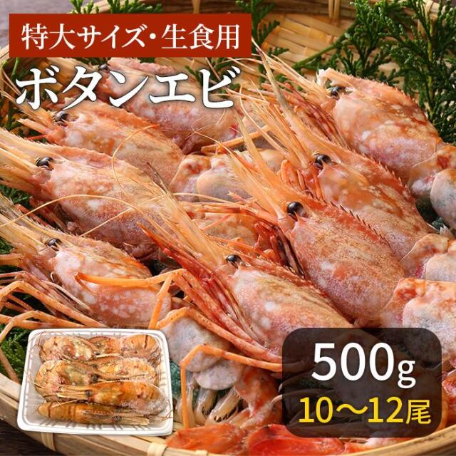 ボタンエビ 特大 500g