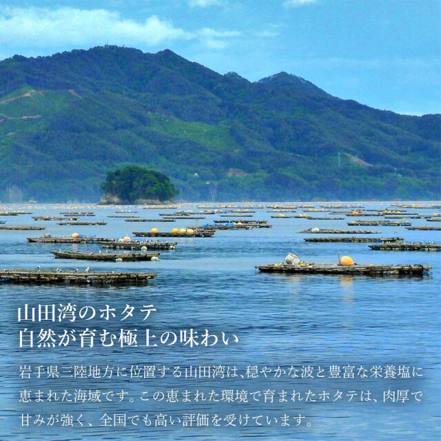 冷凍　ホタテ　貝柱　五篤丸水産