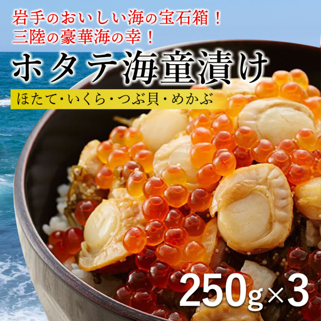 ホタテ海童漬け 250g 3個 ホタテ いくら つぶ めかぶ 五篤丸水産 3 11 三陸産 海鮮 お取り寄せ ギフト 日本まるごと新鮮市場