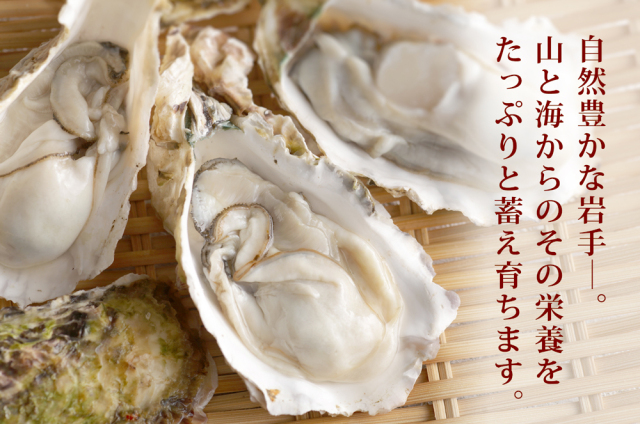 生食用 殻付き牡蠣 8個 ほや 180g×3袋 岩手県産 大船渡 陸前高田