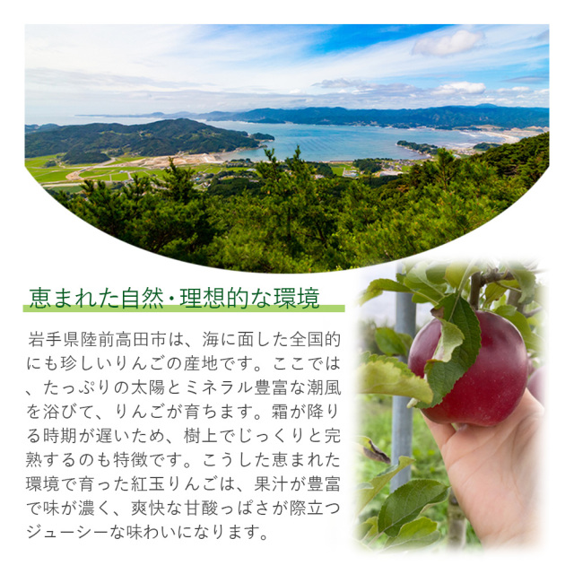 紅玉 りんご