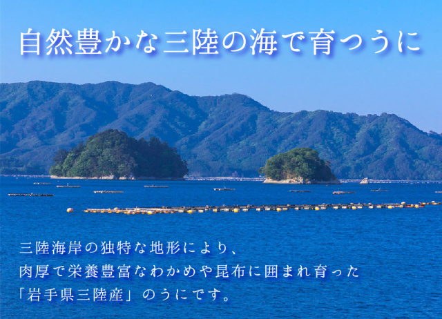 サラミュウ塩ウニ20本セット 対馬産 塩うに 60g×2本《対馬市》【保家商事】 うに ウニ 雲丹