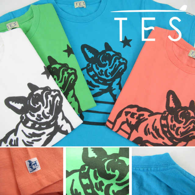 TES エンドレスサマー サーフ Tシャツ BRANDING IRON BUHI T-SHIRT FT
