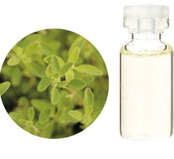 生活の木 エッセンシャルオイル マジョラム 精油 3ml