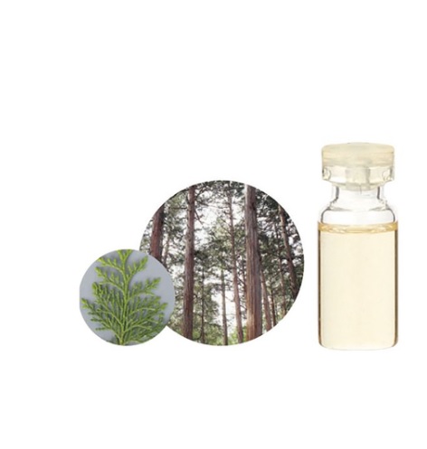 生活の木 エッセンシャルオイル ヒノキ精油 3ml