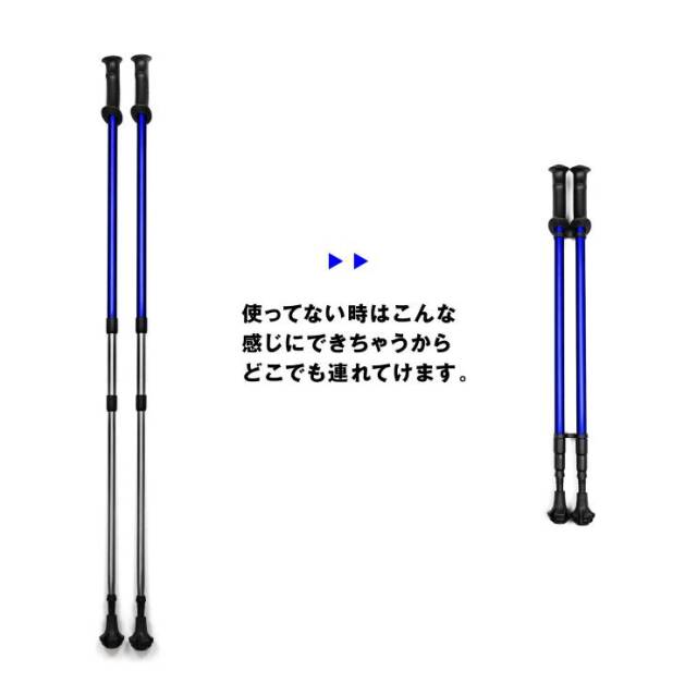 ノルディックポール ブルー 2本セット：La-VIE公式オンラインショップ