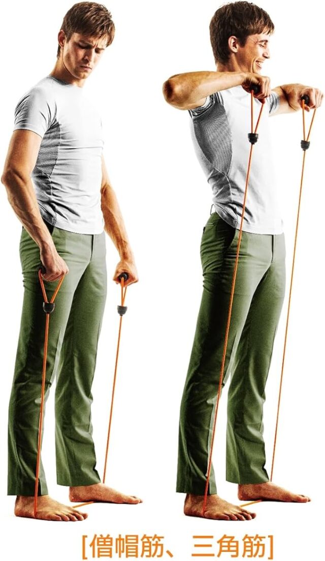 これ1本で上半身から下半身のトレーニングができる！ トレーニング