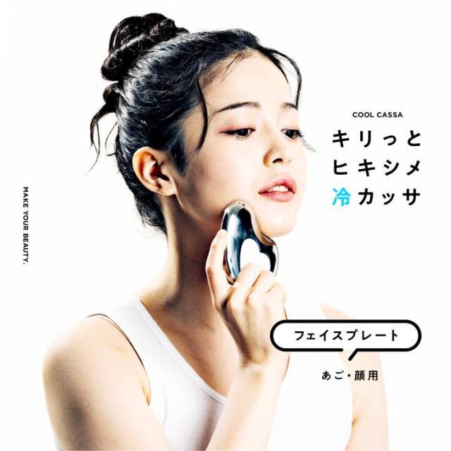 La-VIE(ラ・ヴィ) キリッとヒキシメ冷カッサ フェイスプレート