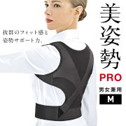 La-VIE(ラ・ヴィ)美姿勢プロ