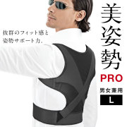 La-VIE(ラ・ヴィ)美姿勢プロ