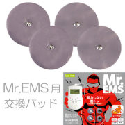 La・VIE(ラ・ヴィ)ミスターイーエムエス用パッド