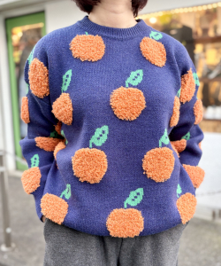 JW ANDERSON オレンジ紫ストライプニット JW Anderson スワンモチーフ