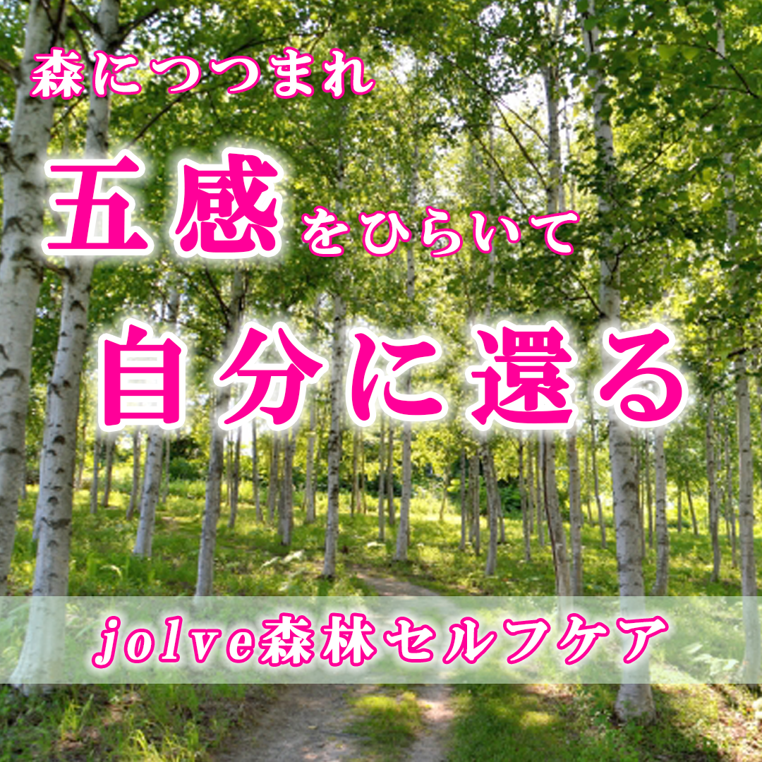 森につつまれ五感をひらいて自分に還る『jolve森林セルフケア』