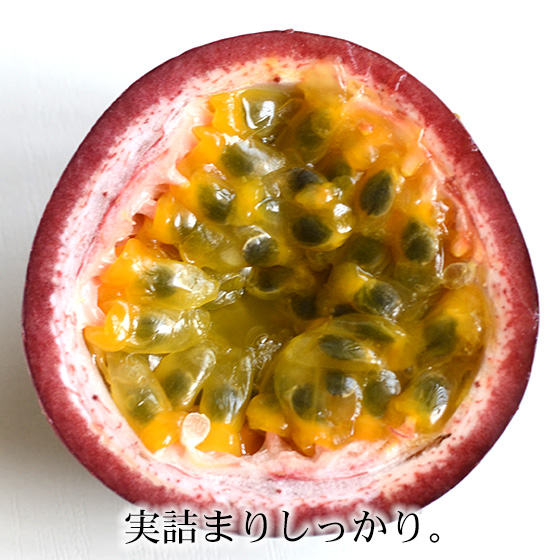 送料無料】沖縄産パッションフルーツ 2kg（15～18玉） 沖縄県