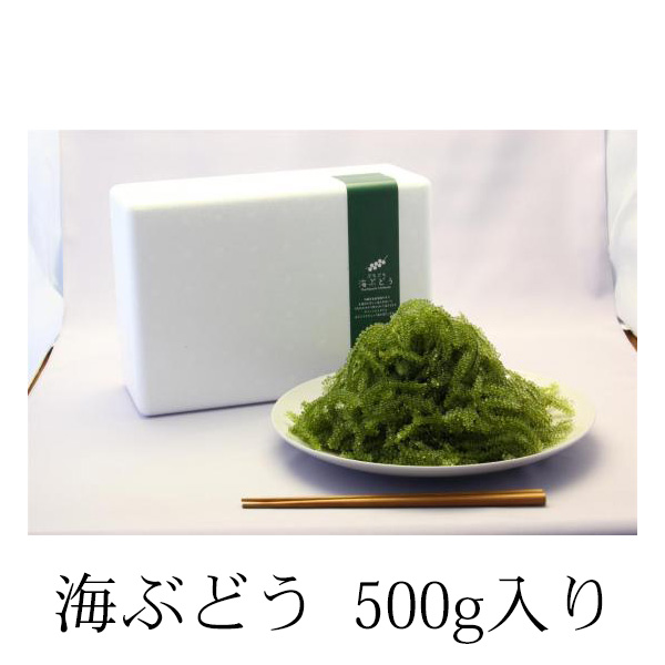 海ぶどう