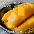 沖縄産完熟マンゴー