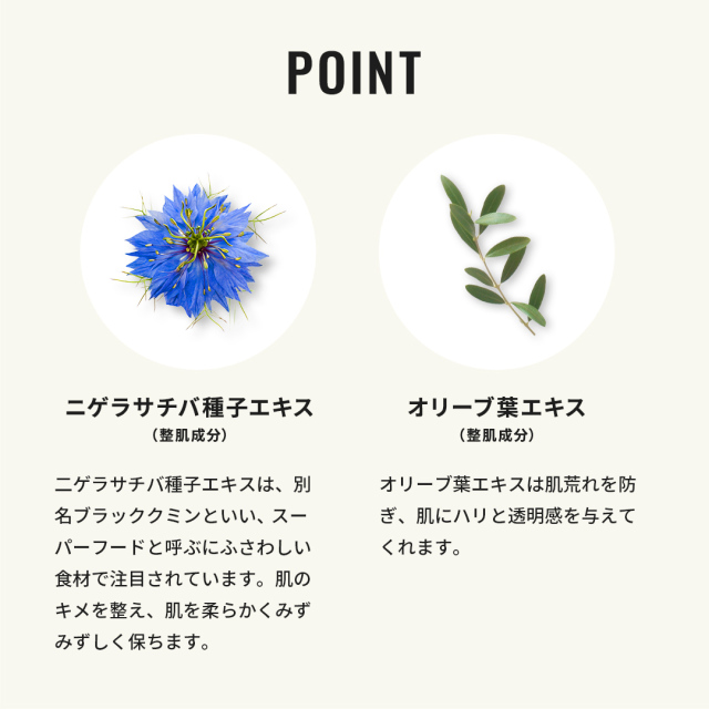 ボディスクラブ