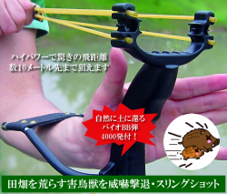 ハイパワースリングショットセット