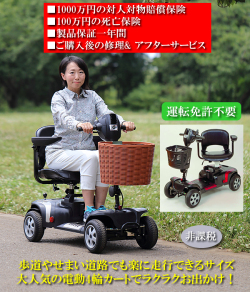 電動4輪カートモバイルアルファ