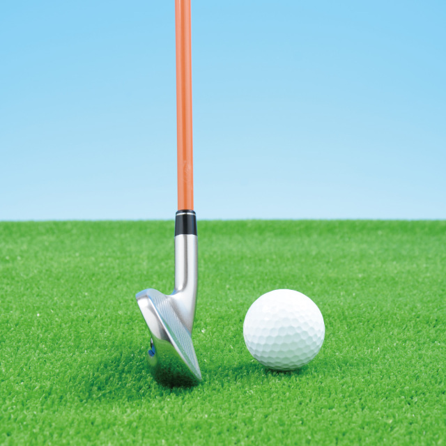 デリンジャー DTI-37 ワンレングスアイアン6本セット