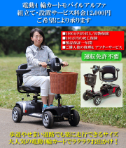 電動4輪カートモバイルアルファ 組立て・設置サービス