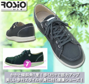 ロシオゴ－ルドスタ－ アニバ－サリ－モデル