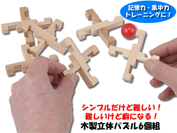 木製立体パズル6個組