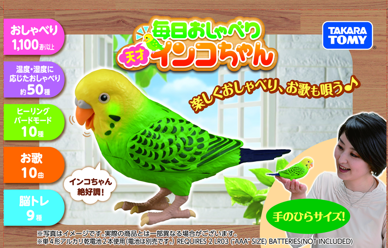 毎日おしゃべり天才インコちゃん