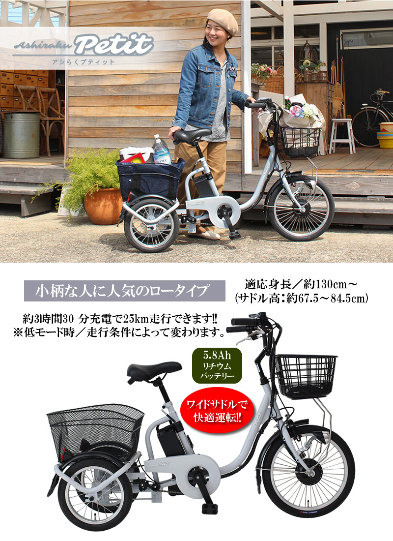 ロータイプ電動アシスト三輪自転車