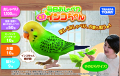 毎日おしゃべり天才インコちゃん