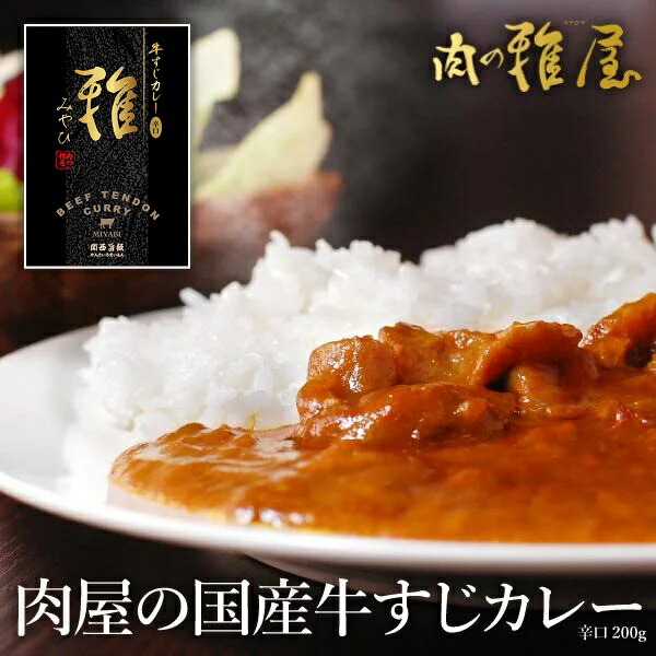 厳選国産「雅屋　牛すじカレー」ビーフ カレー 辛口 食品 お試し ギフト レトルトカレー ご飯のお供