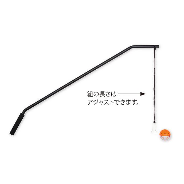 バッティング練習用ギア ティーチング・ポール ボール1球付