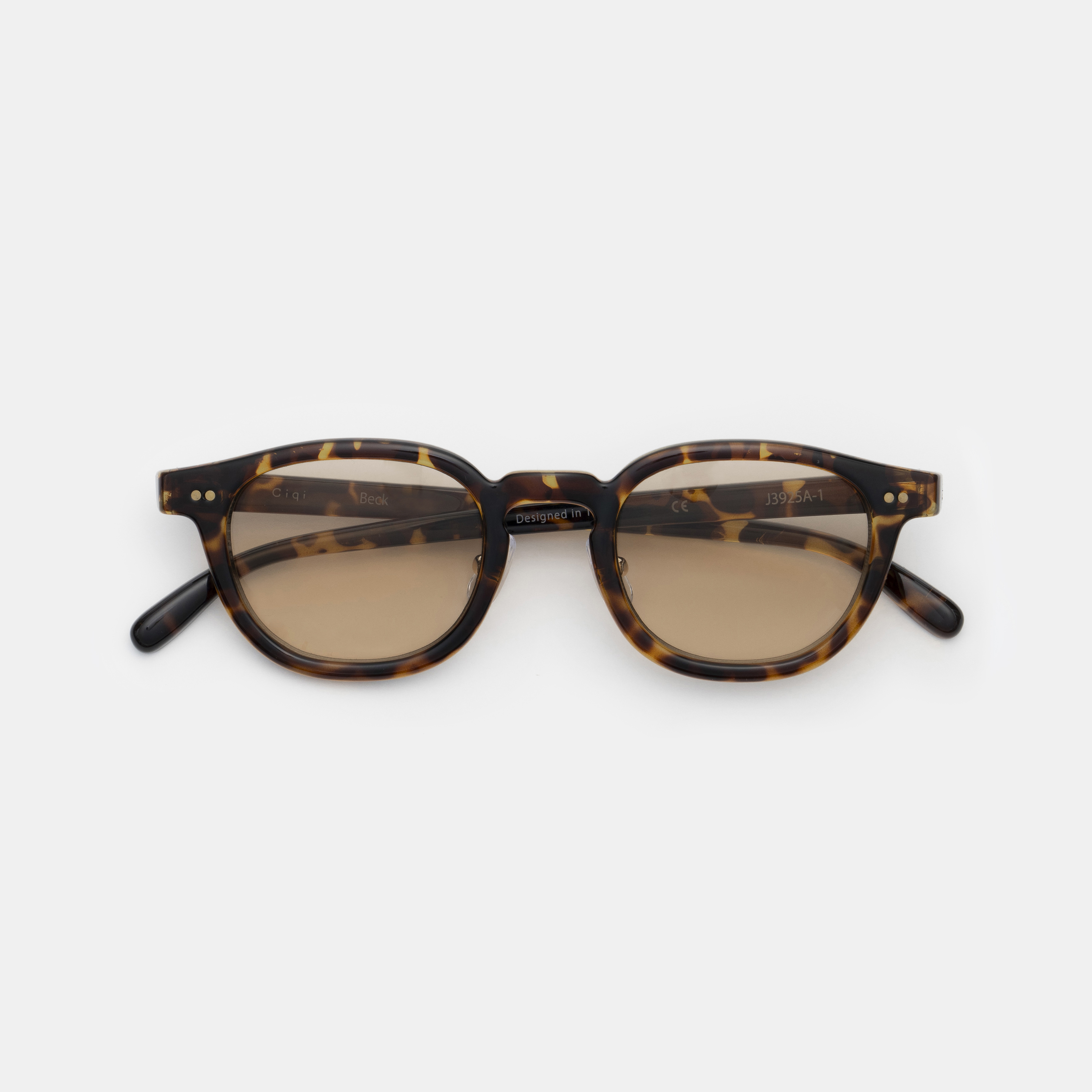 BECK Demi Light Brown Lenses sunglasses 《ベック デミ ライト