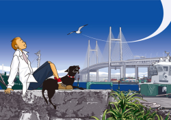bay bridge ll