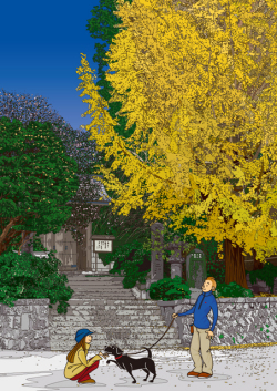 額装ジクレーイラスト「大町銀杏」 ジュジュタケシミュージアムショップ